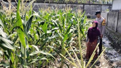 Bhabinkamtibmas Labuapi Gerakkan Warga Tanam Jagung di Lahan Kosong