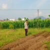 Wujudkan Kemandirian Agraria, Personel Polsek Labuapi Turun Langsung Dampingi Petani Olah Lahan Produktif