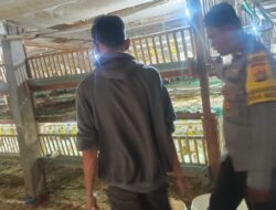 Kemandirian Pangan Desa Beleke: Sinergi Bhabinkamtibmas dan Peternak Lokal demi Stabilitas Ekonomi