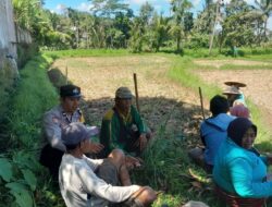 Bhabinkamtibmas Desa Sepakek Monitoring Program Ketahanan Pangan dan Perkuat Kamtibmas di Wilayah Binaan