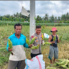 Bhabinkamtibmas Desa Bagik Papan Cek Panen Jagung dan Sampaikan Himbauan Kamtibmas kepada Warga