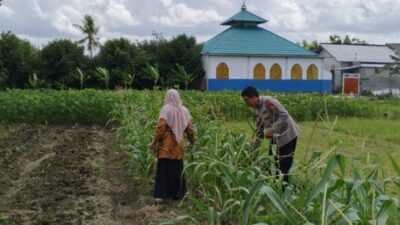 Strategi Polsek Labuapi Dorong Kemandirian Pangan Lewat Pekarangan