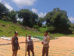 Kapolsek Pekat Dorong Bhabinkamtibmas Aktif Dampingi Petani di Desa Binaan