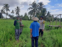 BHABINKAMTIBMAS POLSEK PEKAT AJAK PETANI DUKUNG PROGRAM KETAHANAN PANGAN