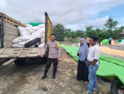 BHABINKAMTIBMAS DESA O’O POLSEK DOMPU PANTAU HASIL PANEN JAGUNG WARGA UNTUK DUKUNG PROGRAM KETAHANAN PANGAN