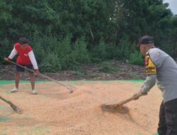 BHABINKAMTIBMAS DESA TANJU DAMPINGI PETANI JAGUNG DALAM PROGRAM KETAHANAN PANGAN