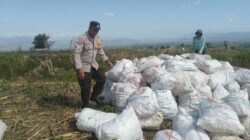 Sinergi Polisi dan Petani, Ketahanan Pangan Nasional Diperkuat di Kabupaten Dompu