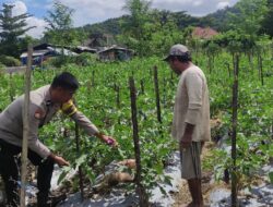Bhabinkamtibmas Desa Manemeng Dorong Ketahanan Pangan Warga Lewat Pekarangan Bergizi