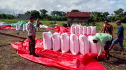 Wujud Kepedulian Polri, BKTM Doropeti Pantau Hasil Panen Jagung Masyarakat
