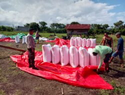 Wujud Kepedulian Polri, BKTM Doropeti Pantau Hasil Panen Jagung Masyarakat