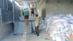 Polsek Gerung dan Mitra Pastikan Pasokan Jagung Aman untuk Ketahanan Pangan
