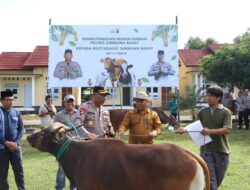 Polres Sumbawa Barat Distribusikan Hewan Kurban untuk Masyarakat pada Iduladha 1447 H/2026 M