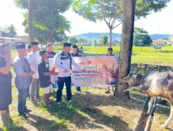 POLRES DOMPU LAKSANAKAN PEMOTONGAN DAN PEMBAGIAN DAGING KURBAN IDUL ADHA 1447 H/2026 M