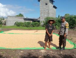 BHABINKAMTIBMAS POLSEK PEKAT DORONG PETANI SALURKAN HASIL PANEN KE GUDANG BULOG