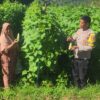 Bhabinkamtibmas Desa Manemeng Dampingi Pengelolaan Pekarangan Pangan Bergizi, Dorong Ketahanan Pangan Masyarakat