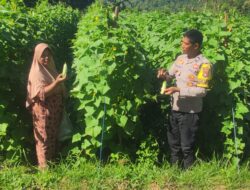 Bhabinkamtibmas Desa Manemeng Dampingi Pengelolaan Pekarangan Pangan Bergizi, Dorong Ketahanan Pangan Masyarakat