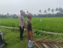 Bhabinkamtibmas Desa Bagik Nyaka Santri Monitoring Tanaman Jagung Warga untuk Dukung Ketahanan Pangan