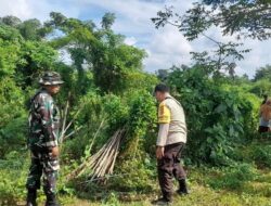 Sinergi TNI-Polri di Lombok Barat Sulap Lahan Tidur Jadi Kunci Swasembada Pangan Nasional