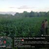 Bhabinkamtibmas Desa Rarang Batas Cek Tanaman Jagung Milik Warga Di Dusun Bolor Sembe