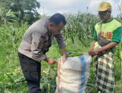 Polsek Labuapi Dorong Ketahanan Pangan di Bagik Polak Barat