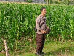 Polri dan Warga Lombok Barat Sulap Lahan Tidur Jadi Pekarangan Bergizi