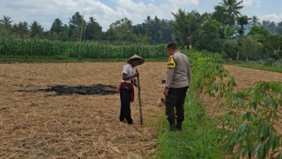 Bhabinkamtibmas Desa Sukadana Monitoring Tanaman Jagung Milik Kelompok Tani Dile Semprong I