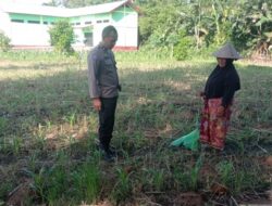 Polres Lombok Barat Kawal Program Swasembada Pangan di Desa Kuranji