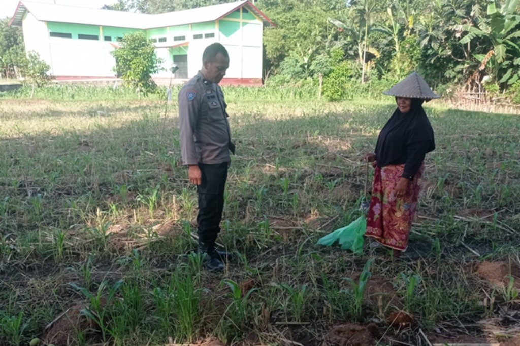 Lewat Pendampingan Intensif, Polres Lombok Barat Sukseskan Swasembada Pangan