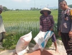 Bhabinkamtibmas Labuapi Pacu Sektor Pangan Desa Kuranji