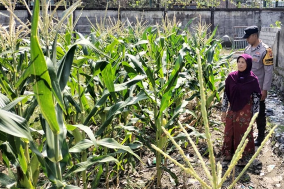 Cara Polsek Labuapi Lombok Barat Akselerasi Program Ketahanan Pangan