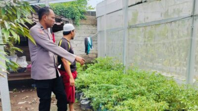 Bhabinkamtibmas Bajur Jaga Ketahanan Pangan Nasional