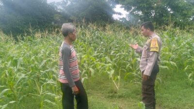 Sinergi Polisi dan Petani Jaga Ketahanan Pangan di Labuapi