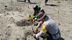 Bhabinkamtibmas dan Babinsa Desa Tanjung Luar Tanam Bibit Mangrove, Ajak Warga Jaga Kelestarian Pantai