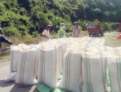 BHABINKAMTIBMAS DESA SANEO MONITORING HASIL PANEN JAGUNG WARGA DI DESA BINAAN