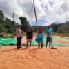 BHABINKAMTIBMAS DESA CEMPI JAYA LAKUKAN PEMANTAUAN HASIL PANEN JAGUNG WARGA