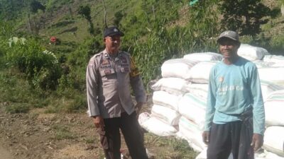 BHABINKAMTIBMAS POLSEK WOJA PANTAU PANEN JAGUNG WARGA, DUKUNG KETAHANAN PANGAN NASIONAL
