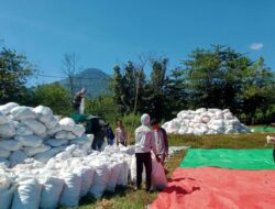 BHABINKAMTIBMAS DESA WOKO PANTAU PROSES PENGGILINGAN DAN PENJEMURAN JAGUNG.