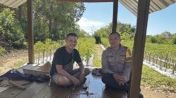 Pastikan Keamanan Area Perkebunan, Bhabinkamtibmas Desa Rhee Loka Sambangi Petani Cabai