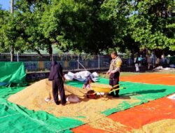 PANTAU PENJEMURAN JAGUNG WARGA, BHABINKAMTIBMAS DESA SAWE DUKUNG KETAHANAN PANGAN NASIONAL