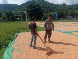 Jaga Kualitas Hasil Panen, Bhabinkamtibmas Rasabou Monitoring Proses Penjemuran Jagung