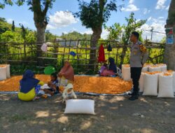 BHABINKAMTIBMAS DESA BANGGO AJAK PETANI SALURKAN HASIL PANEN KE BULOG DAN DUKUNG PEMBERANTASAN NARKOBA