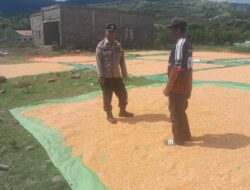 BHABINKAMTIBMAS DESA DAHA PANTAU PENJEMURAN HASIL PANEN JAGUNG, DORONG PETANI TINGKATKAN PRODUKTIVITAS DAN SALURKAN HASIL KE BULOG