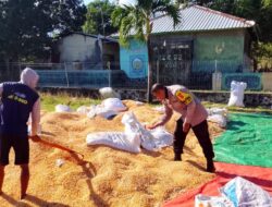 Bhabinkamtibmas dan Petani Bersinergi Perkuat Ketahanan Pangan di Kabupaten Dompu
