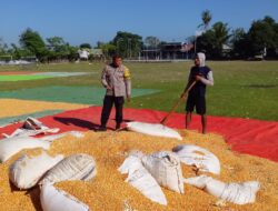Bhabinkamtibmas dan Petani Bersinergi Perkuat Ketahanan Pangan di Kabupaten Dompu