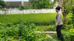 Polri Dukung Astacita, Polsek Merakurak Polres Tuban Turun Cek Tanaman Padi Warga di Desa Tobo
