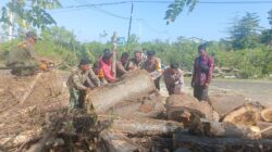Sinergi TNI-Polri dan Instansi Terkait Evakuasi Pohon Tumbang di Jalur Lintas Sumbawa-Bima