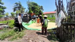 DUKUNG PROGRAM KETAHANAN PANGAN NASIONAL, BHABINKAMTIBMAS DESA DAHA MONITOR HASIL PANEN JAGUNG