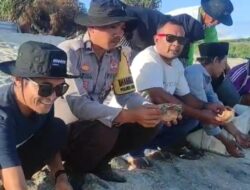 Jaga Kelestarian Ekosistem Laut, Bhabinkamtibmas Ikut Pelepasan Tukik di Pantai Mawil