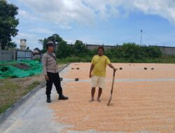Pemantauan Penjemuran Jagung, Bhabinkamtibmas Mbuju Motivasi Petani Tingkatkan Produktivitas