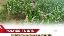 Turun ke Pematang, Polsek Jatirogo Kawal Jagung Warga Desa Ketodan Demi Astacita